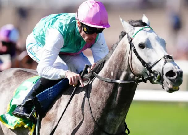 Field of Gold in the 2025 2000 Guineas horse race.